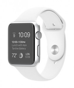 Teknolojice-WatchSportSilver42mm