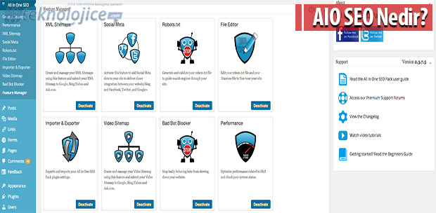 AIO SEO Nedir