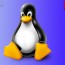 Linux Nedir