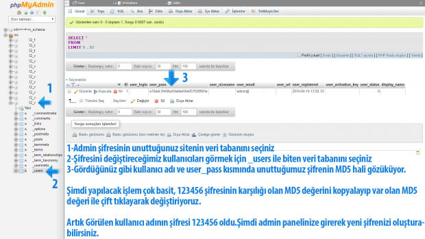 wordpress-sifre-sifirlama-3
