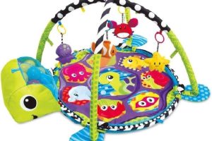 Bondigo BP4814 Top Havuzlu Aktivite ve Gym Oyun Halısı