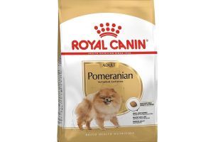 🛍️ Royal Canin Pomeranian Yetişkin Köpek Maması, 1.5 Kg