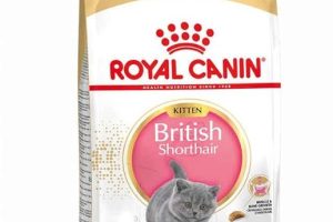 (%40.18) Royal Canin British ShortHair Kuru Kedi Maması, Yavru Kedi, 2 Kg