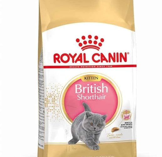 (%40.18) Royal Canin British ShortHair Kuru Kedi Maması, Yavru Kedi, 2 Kg