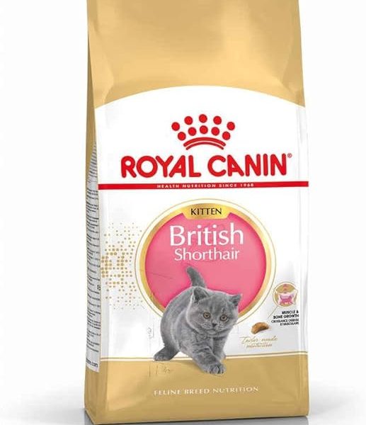 (%40.18) Royal Canin British ShortHair Kuru Kedi Maması, Yavru Kedi, 2 Kg