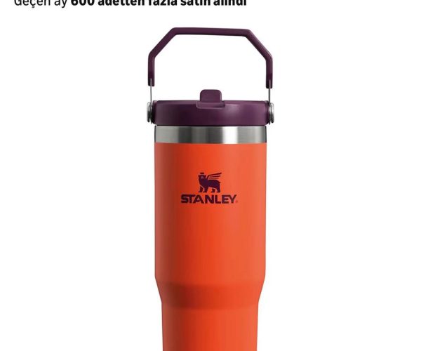 Stanley IceFlow Flip Straw Tumbler Pipetli Termos Bardak, 0.89 L
