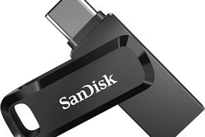 (%30) SanDisk Ultra Dual Drive GO SDDDC3-064G-G46 64 GB Flash Bellek — %30 İndirim