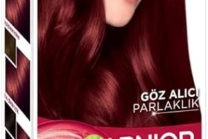 (%48.08) Garnier Çarpıcı Renkler Saç Boyası 5.62 Parlak Lal Kızılı