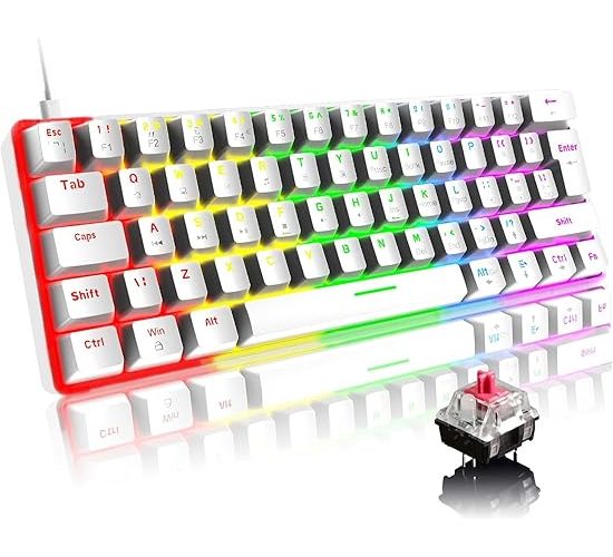 ROBEVE Blic Oyuncu Klavyesi RGB Klavye 20 Modlu Ayarlanabilir Renk Seçeneği RGB Suya Ve Toza Dayanıklı Klavye Oyun Klavyesi Oyuncu Klavye Mekanik Klavye Kırmızı Switch (Beyaz)