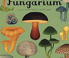 Fungarium — %22 İndirim | Amazon TR Fırsatı