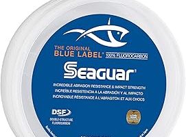Seaguar Blue Label florokarbon olta ipi, orijinal Fluoro lideri, inanılmaz darbe ve aşınma direnci, hızlı batar, sağlamlık ve yumuşaklık için çift yapı — %36 İndirim | Amazon TR Fırsatı