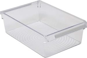 Primanova Düzenleyici Raf, 325 x205x100 Mm, Şeffaf — %31 İndirim | Amazon TR Fırsatı