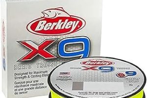 Berkley X9 geflochtene Angelschnur – 9-fache geflochtene Schnur zum Salzwasser- und Süßwasserangeln — %40 İndirim | Amazon TR Fırsatı