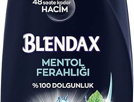 (%10.91) Blendax Erkekler için Mentol Ferahlığı Nane Özlü Şampuan, 500 ml