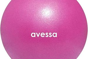 (%50) Avessa 30 cm Pilates Topu Plt 30 — %50 İndirim