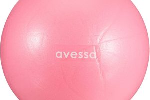 (%50) Avessa 30 cm Pilates Topu Plt 30 — %50 İndirim