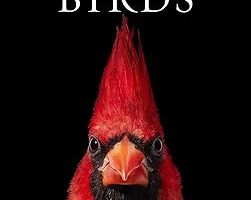 Birds: Photographs — %52 İndirim | Amazon TR Fırsatı