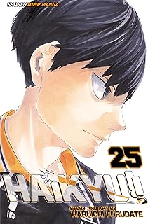 Haikyu!!, Vol. 25 (Kapak Resmi değişebilir)