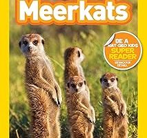 Meerkats (National Geographic Kids Readers, Level 1) — %35 İndirim | Amazon TR Fırsatı