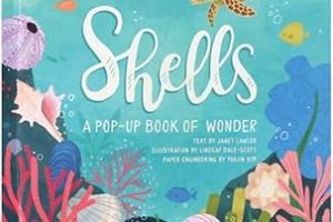 Shells: A Summer Pop-Up Book (4 Seasons of Pop-Up) — %25 İndirim | Amazon TR Fırsatı