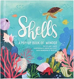 Shells: A Summer Pop-Up Book (4 Seasons of Pop-Up)