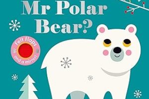 Where’s Mr Polar Bear? — %45 İndirim | Amazon TR Fırsatı