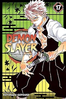 Demon Slayer: Kimetsu no Yaiba, Vol. 17: Volume 17