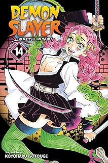 Demon Slayer: Kimetsu no Yaiba, Vol. 14