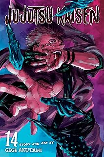 Jujutsu Kaisen, Vol. 14: The Shibuya Incident--Right And Wrong-- (Volume 14)