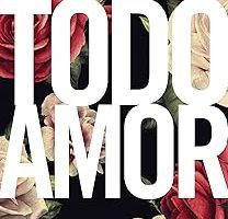 Todo Amor (Em Portuguese do Brasil) — %25 İndirim | Amazon TR Fırsatı
