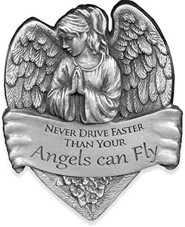 Angelstar 15731 metal vizör Clip, 2 – 1/2, NEVER Drive daha hızlı engel sinek kann