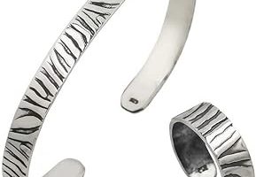 Gümüş Zebra Desenli Bileklik Ve Yüzük Set — %36 İndirim | Amazon TR Fırsatı