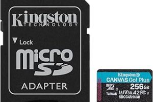 Kingston 256GB Canvas Go Plus microSD Card | Up to 200MB/s | Class 10, UHS-I, U3, V30, A2 | SDCG4/256GB — %26 İndirim | Amazon TR Fırsatı