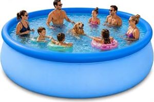 Mega Büyük Boy Şişme Havuz, 3.66 Metre Çaplı Jumbo Aile Havuzu, 3 Katmanlı Dayanıklı PVC UV Güneşe Dayanıklı, Yetişkin Çocuk Ev Bahçe Teras Yazlık Aile Kullanımı İçin Mega Büyük Boy Şişme Havuz — %27 İndirim | Amazon TR Fırsatı