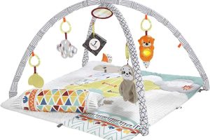 (%75.67) Fisher-Price Perfect Sense Delüks Jimnastik Merkezi, GKD45