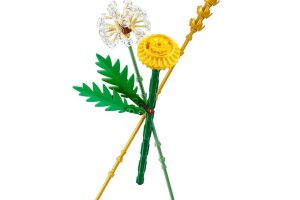 🛍️ LEGO Botanicals Tarla Çiçekleri 30701