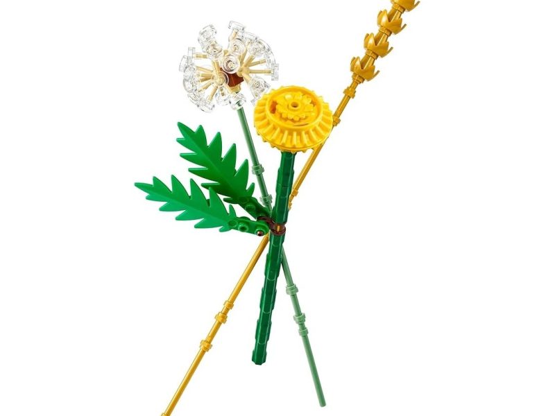 🛍️ LEGO Botanicals Tarla Çiçekleri 30701