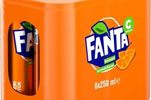 Fanta Portakal Aromalı Kutu 6×250 ml