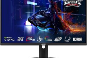 (%25) MSI 27” G274QPF Flat RAPID IPS 2560X1440 (WQHD) 16:9 170HZ 1MS Adaptive SYNC Gaming Monitor — %25 İndirim
