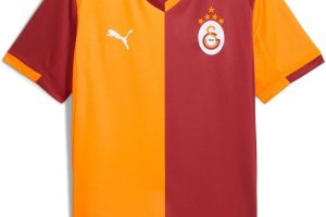 Galatasaray 2025/26 İç Saha Erkek Kırmızı Futbol Forması 77980901