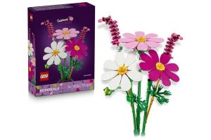🛍️ LEGO Botanicals Kozmos Çiçekleri 11514 9 Yaş ve Üzeri Çocuklar için Beyaz, Pembe ve Mor Renkli Çiçekler İçeren Yaratıcı Oyuncak Yapım Seti, Doğum Günü Hediyesi Fikri (171 Parça)