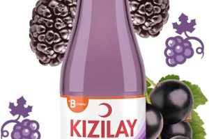 (%74.03) Kızılay Karadut Frenk Üzümü Aromalı Maden Suyu 6×200 ml