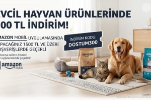 🎟️ İndirim Kodu: DOSTUM300 — %80 İndirim
