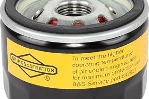 Orijinal parça Briggs & Stratton 842921 yağ filtresi, — %67 İndirim | Amazon TR Fırsatı