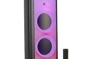 Ibiza WAVE10 10 inç (25,4 cm) Çift Woofer’lı Hoparlör, 800W, Bluetooth, USB/microSD, WAVE LED Efekti, TWS Kablosuz Bağlantı, Siyah — %23 İndirim | Amazon TR Fırsatı
