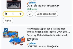 Hot Wheels Köpek Balığı Taşıyıcı Hot