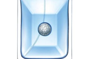 Versace Pour Homme EDT Erkek Parfümü 200 ml