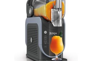 Ninja SLUSHi Frozen Makinesi FS301EU