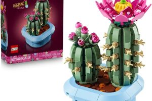 LEGO Botanicals Çiçekli Kaktüs 11509 | 9 Yaş ve Üzeri Çocuklar için Çiçek Açmış Büyük ve Tomurcuklu Küçük Kaktüs İçeren Oyuncak Yapım Seti, Hediye Fikri (482 Parça)