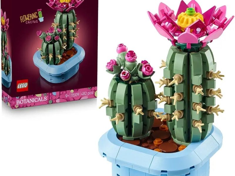 LEGO Botanicals Çiçekli Kaktüs 11509 | 9 Yaş ve Üzeri Çocuklar için Çiçek Açmış Büyük ve Tomurcuklu Küçük Kaktüs İçeren Oyuncak Yapım Seti, Hediye Fikri (482 Parça)